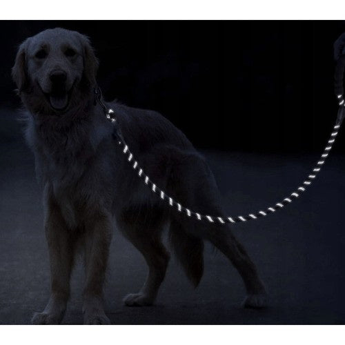 Hundeleine reflektierend 3 m schwarz Polypropylen mit Kotbeutelspender Karabiner