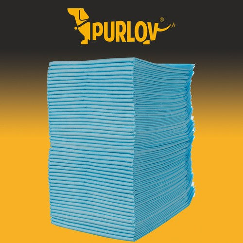 Hygieneeinlage 60x60cm 50 Stk. Purlov 21600