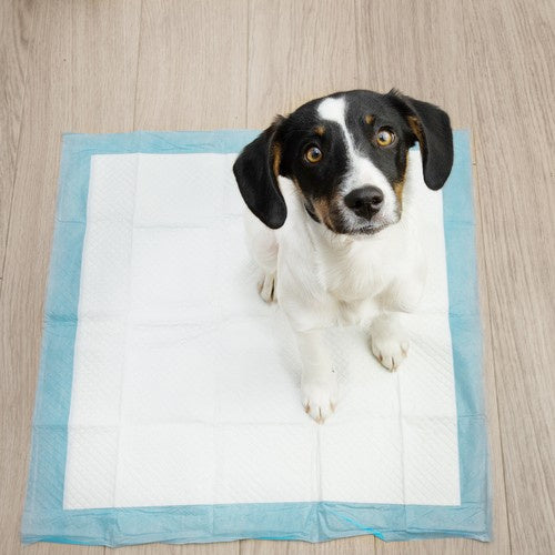 Hygieneeinlage 60x60cm 50 Stk. Purlov 21600