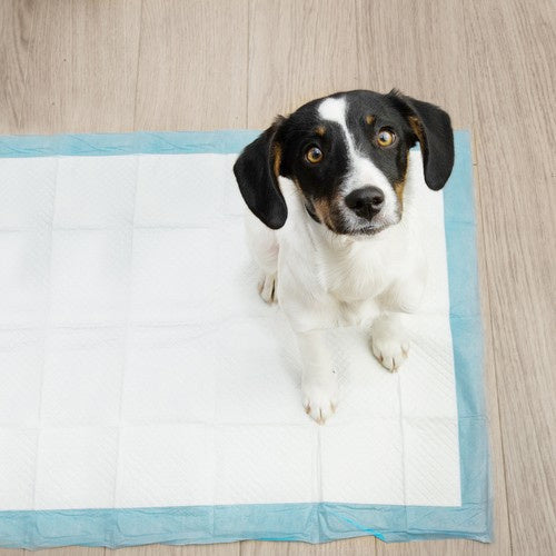 Purlov Trainingsunterlagen für Hunde 60 x 90 cm + 2 Beutel Inkontinenz Bettunterlage für Tiere - Hundezubehör und Welpen - Hundeklo für Zuhause 21602, Menge:50 Stück