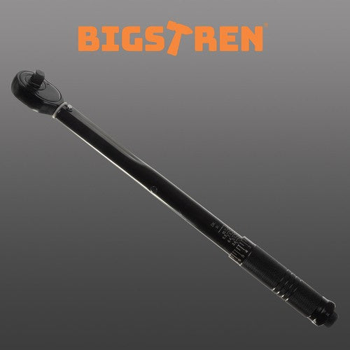 Drehmomentschlüssel 3/8 7-112Nm Bigstring 22097