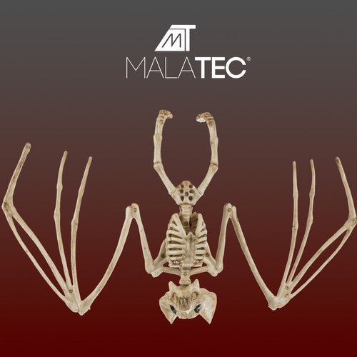 Halloween-Tier-Skelett Dekration schreckliche Fledermaus-Skelett Lebendige Fledermausknochen Hof Dekorationen 22005