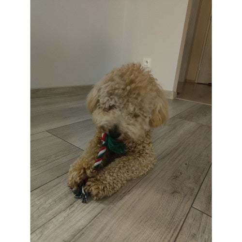 Weihnachtsgeschenk für einen Hund - Purlov 22637 Spielzeug