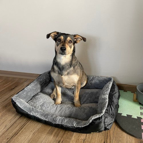 Hunde-/Katzenbett 60x45cm Purlov 24288
