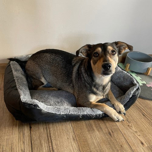 Hunde-/Katzenbett 60x45cm Purlov 24288