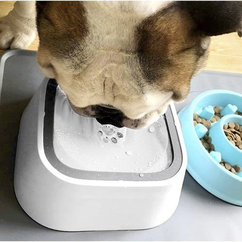2er - Set Wassernäpfe mit Anti - Spritzfunktion für Haustiere - Easy2sell - Deluxe