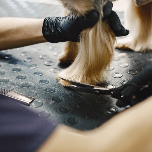 3 - teiliges Hundehaarschneideset für präzise Fellpflege - Easy2sell - Deluxe