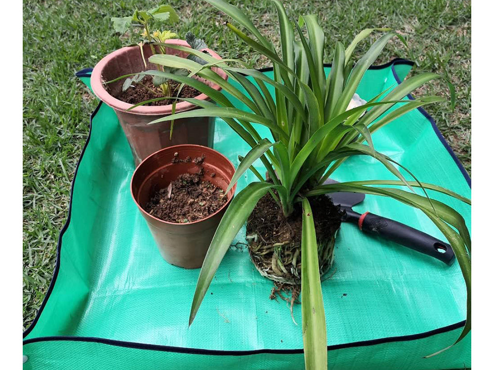 Großes Pad zum Umpflanzen von Blumensämlingen, Gartenunterlage