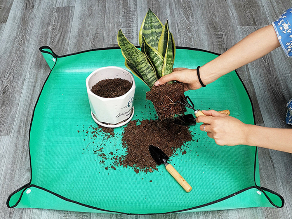 Großes Pad zum Umpflanzen von Blumensämlingen, Gartenunterlage