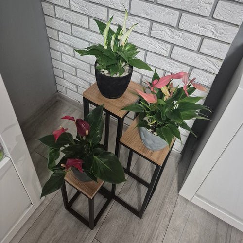 Blumenständer Metall 3 - stöckig – Pflanzenregal Loft Design für Innen & Außen - Easy2sell - Deluxe