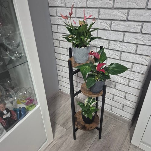 Blumenständer Metall 3 - stöckig – Pflanzenregal Loft - Stil Schwarz & Braun - Easy2sell - Deluxe
