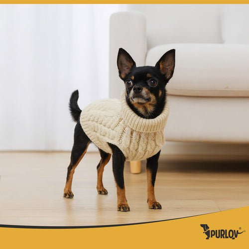 Hunde - /Katzenkleidung Größe S beige Purlov 26216 - Easy2sell - Deluxe