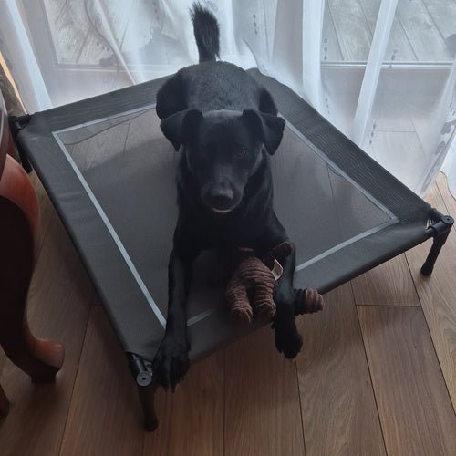 Hundebett XXL mit Dach – Outdoor Hundehochbett, Graphitgrau, 90x90 cm - Easy2sell - Deluxe
