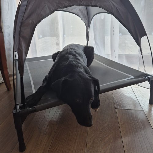 Hundebett XXL mit Dach – Outdoor Hundehochbett, Graphitgrau, 90x90 cm - Easy2sell - Deluxe