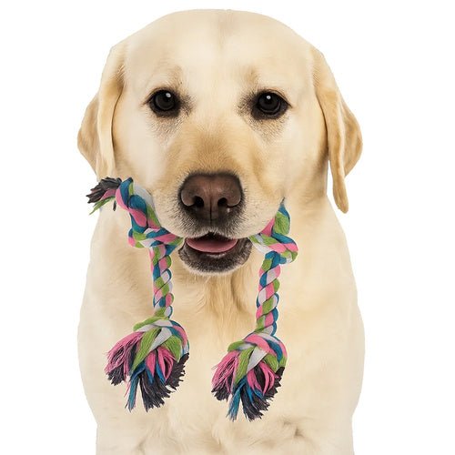 Hundekauspielzeug, Zerrspielzeug - Set 25384 - Easy2sell - Deluxe