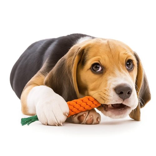 Hundekauspielzeug, Zerrspielzeug - Set 25384 - Easy2sell - Deluxe