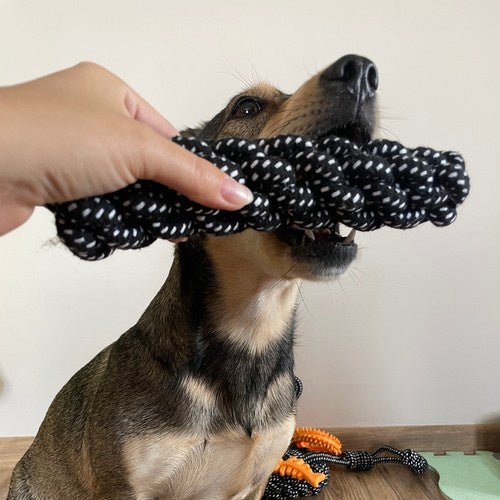 Hundespielzeug Set 10 Stück – Interaktives Kauspielzeug aus Seil und Gummi - Easy2sell - Deluxe