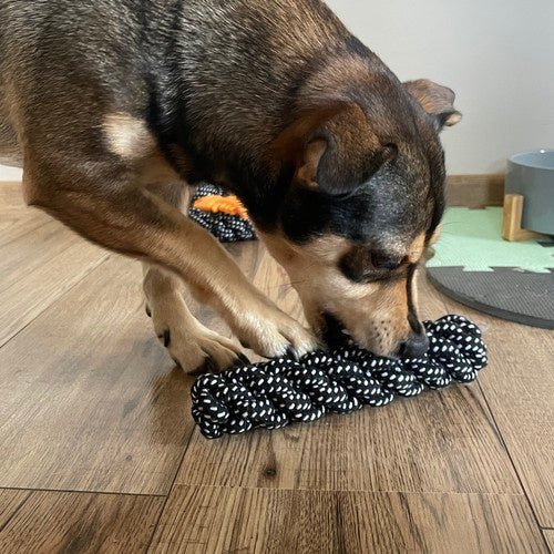 Hundespielzeug Set 10 Stück – Interaktives Kauspielzeug aus Seil und Gummi - Easy2sell - Deluxe