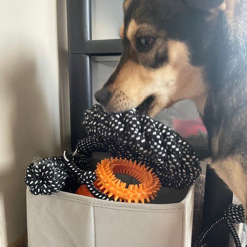 Hundespielzeug Set 10 Stück – Interaktives Kauspielzeug aus Seil und Gummi - Easy2sell - Deluxe