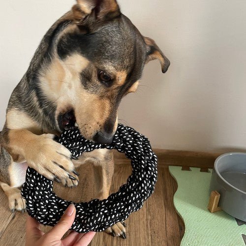 Hundespielzeug Set 10 Stück – Interaktives Kauspielzeug aus Seil und Gummi - Easy2sell - Deluxe
