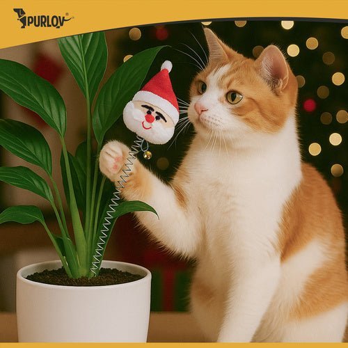 Katzenspielzeug Set 6 - teilig – Weihnachtsstrumpf mit Bällen und Federn - Easy2sell - Deluxe