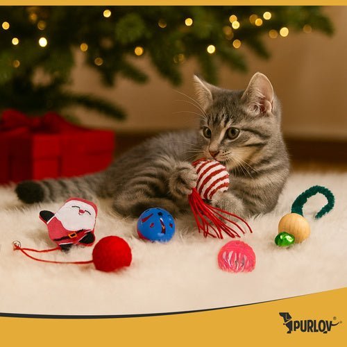 Katzenspielzeug Set 6 - teilig – Weihnachtsstrumpf mit Bällen und Federn - Easy2sell - Deluxe