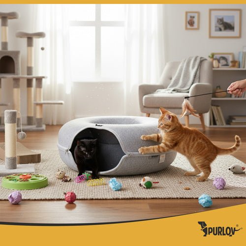 Katzentunnel mit Anti - Stress - Donut - Design in Grau - Easy2sell - Deluxe
