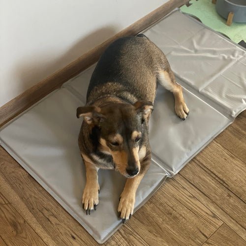 Kühlmatte für Tiere – faltbar, angenehm kühl, grau - Easy2sell - Deluxe