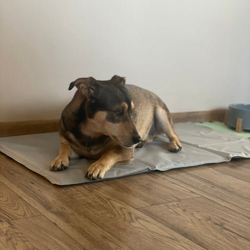 Kühlmatte für Tiere – faltbar, angenehm kühl, grau - Easy2sell - Deluxe