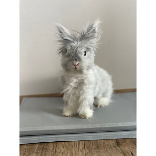 Kühlmatte für Tiere – faltbar, angenehm kühl, grau - Easy2sell - Deluxe