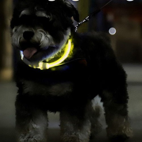 LED - Halsband mit verstellbarer Länge für Sicherheit, gelb - Easy2sell - Deluxe