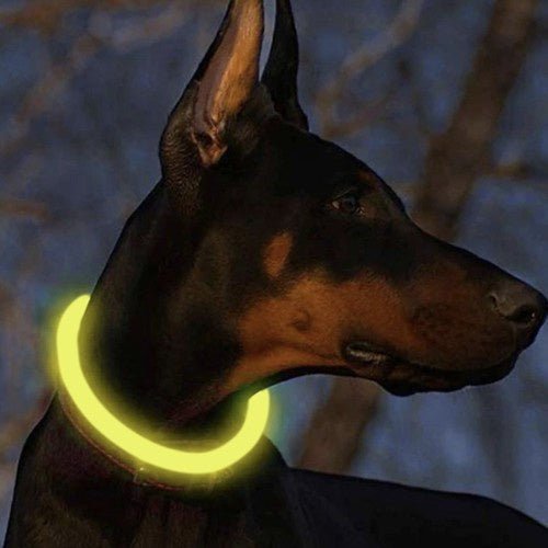 LED - Halsband mit verstellbarer Länge für Sicherheit, gelb - Easy2sell - Deluxe