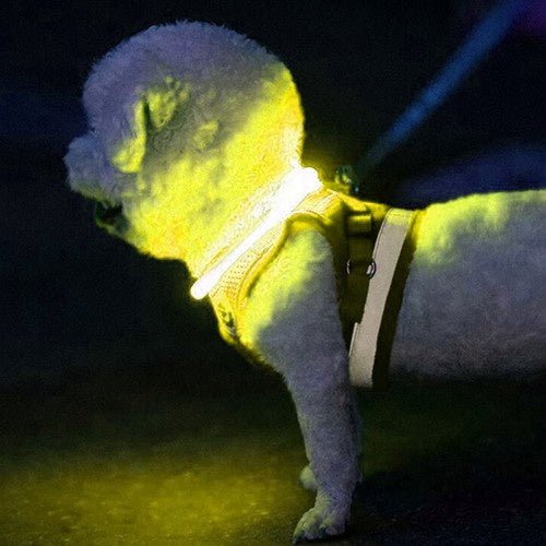 LED - Halsband mit verstellbarer Länge für Sicherheit, gelb - Easy2sell - Deluxe