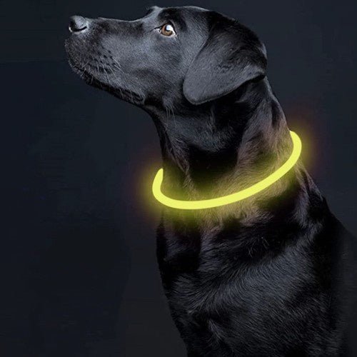 LED - Halsband mit verstellbarer Länge für Sicherheit, gelb - Easy2sell - Deluxe