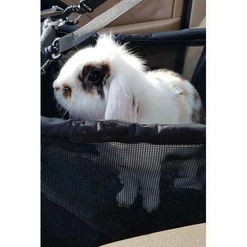 Purlov 20973 sitzender Hundetransporter - Easy2sell - Deluxe