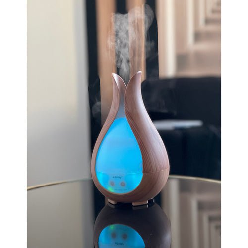 Ultraschall Luftbefeuchter Aroma Diffusor mit LED Licht und Fernbedienung - Easy2sell - Deluxe